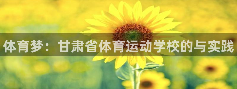 betway西汉姆联官网