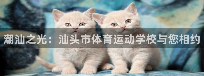 betway西汉姆