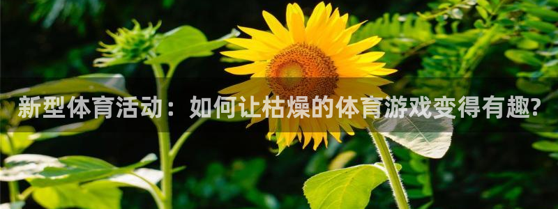 betway西汉姆：新型体育活动：如何让枯燥的体育游戏变得有趣?