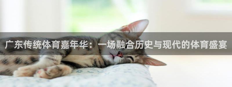 betway西汉姆联：广东传统体育嘉年华：一场融合历史与现代的体育盛宴