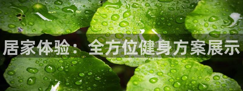 betway西汉姆官网：居家体验：全方位健身方案展示