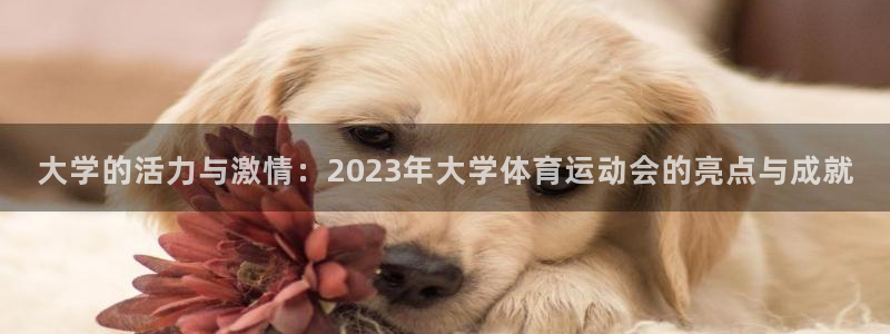 betway西汉姆联