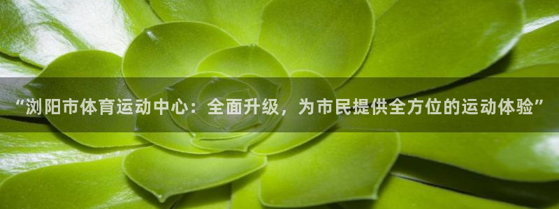 必威betway西汉姆联