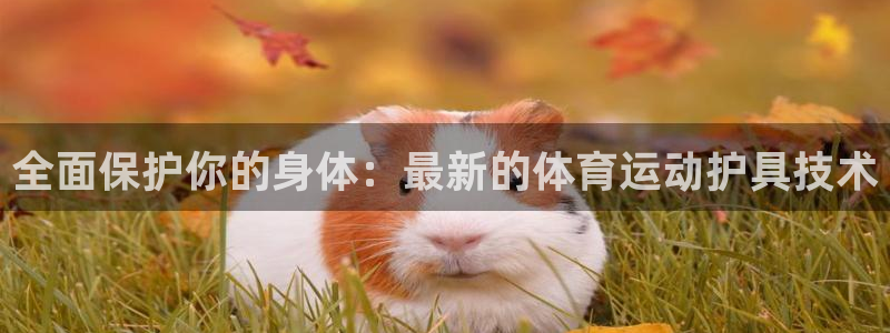 betway西汉姆联官网：全面保护你的身体：最新的体育运动护具技术