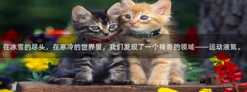 betway西汉姆联官网