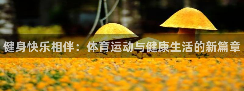 betway西汉姆官网