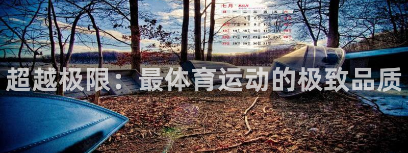 betway西汉姆官网