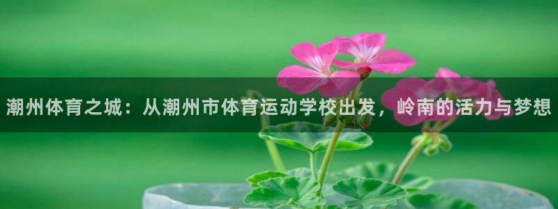 betway西汉姆联